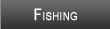 Lake Travis Fishing